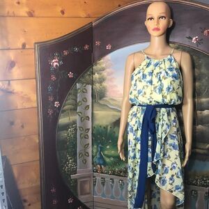 Miss Avenue Beautiful Yellow/Blue Floral High-Low Dress- Sz. S NWT